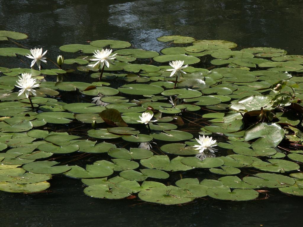 Matsusaki Nomi Екстериор снимка