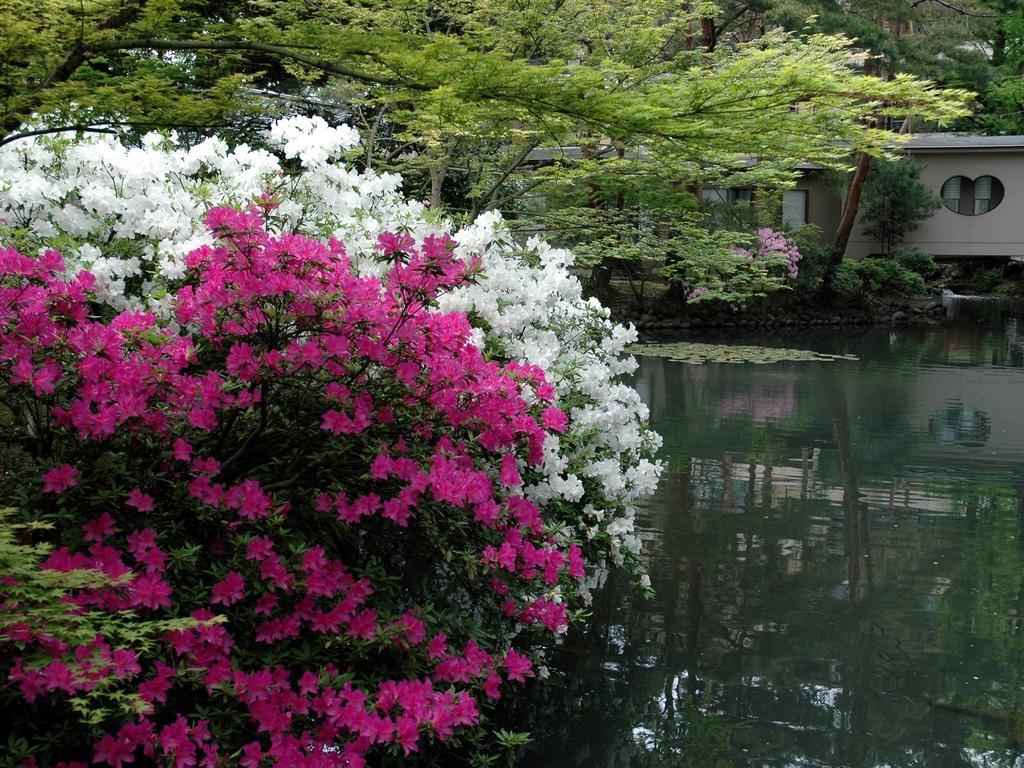 Matsusaki Nomi Екстериор снимка