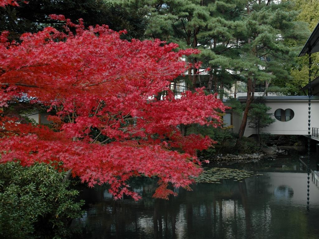 Matsusaki Nomi Екстериор снимка
