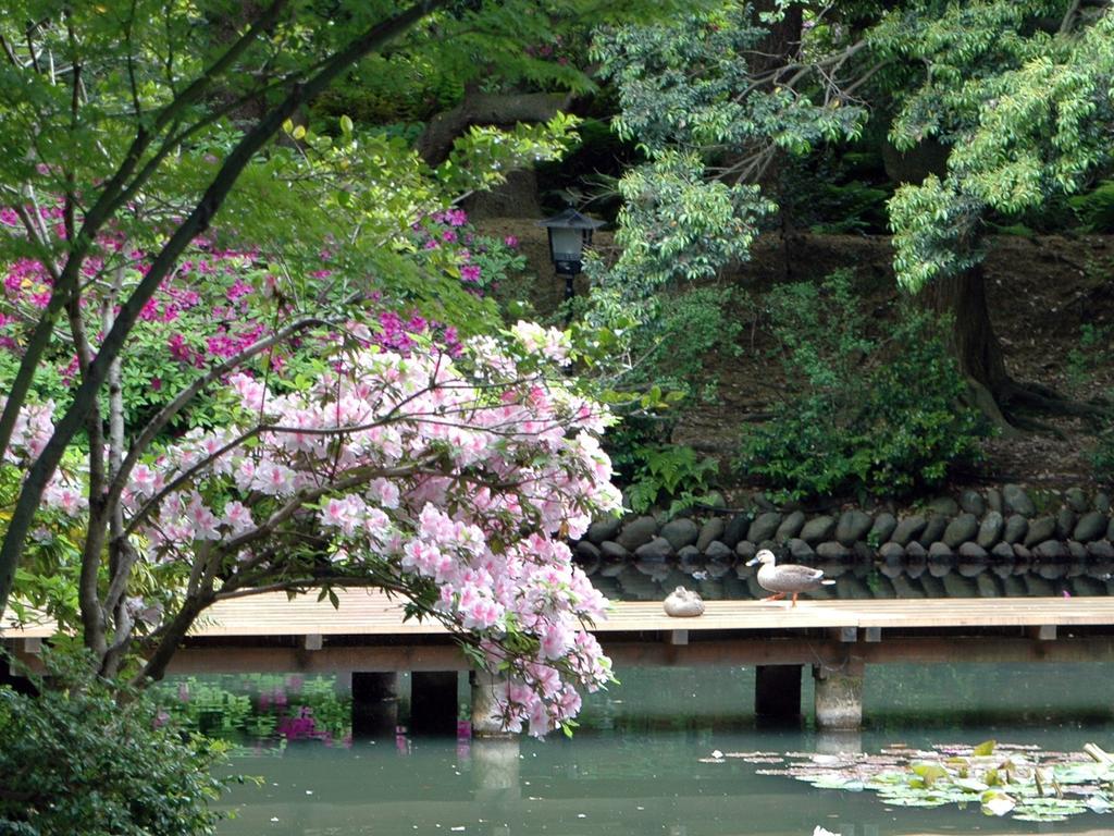 Matsusaki Nomi Екстериор снимка