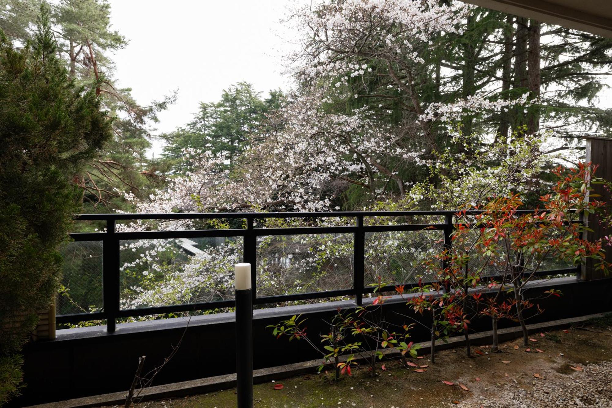 Matsusaki Nomi Екстериор снимка